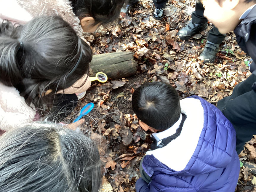 Herrick Primary School